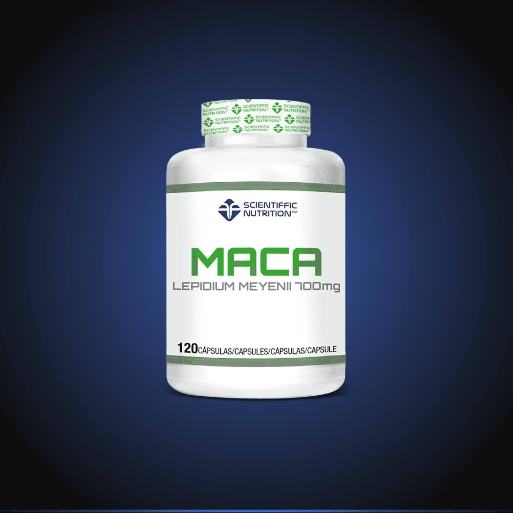 Maca